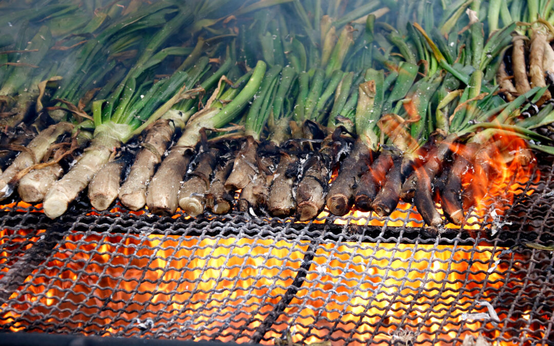 Gran Calçotada Valls (Zona Vallès)