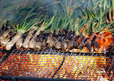 Gran Calçotada Valls (Zona Vallès)