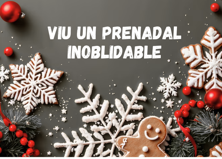 PORTADA VIATGES Vive una Navidad inolvidable Viu un Prenadal Inoblidable